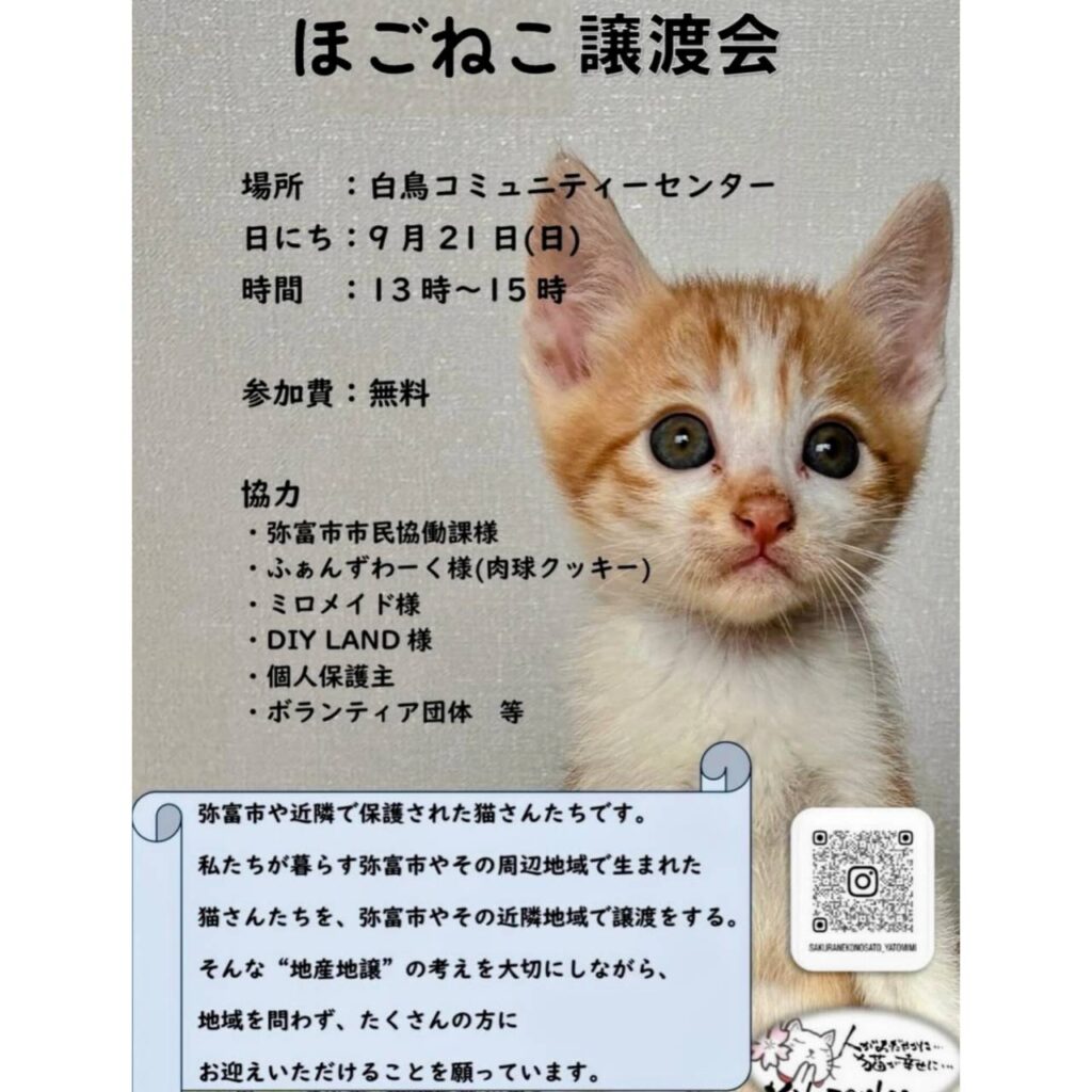 ひまわりのたねころうさん専用ページ 49668-1024x1024.jpg